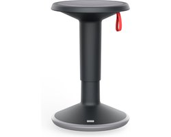 Upis1 Interstuhl Design Kruk - Zit-Sta Kruk - Deep Grey - Verstelbaar