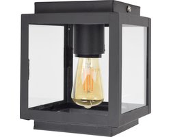 Urban Interiors Loft Plafondlamp Zwart  - Helder glas - 14x14x18