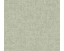 USED LOOK BEHANG | Basic - Licht Groen - A.S. Création Jade 2