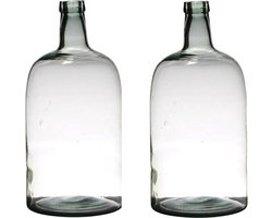 Vaas - 2x - fles vorm - transparant - B19 x H40 - glas - stijlvolle flessen bloemenvaas - Bloemen/takken vaas