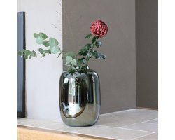 Vaas - Artic Glossy - Grey S