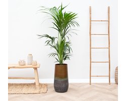 Vaas Elisa Mystic Bronze