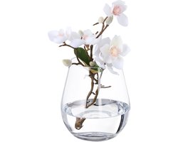 Vaas - glas - 16 x 14 cm - doorzichtig