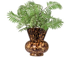 Vaas Liv 35cm turtle