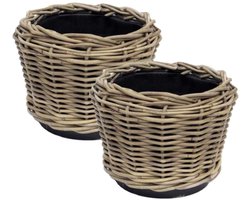Van der Leeden Planten/bloemen mand - 2x - rotan - gevlochten riet - D25 x H19 cm - drypot - plantenpot - plantenmand - nestbaar