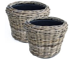 Van der Leeden Planten/bloemen mand - 2x - rotan - gevlochten riet - D27 x H20 cm - drypot - plantenpot - plantenmand - nestbaar