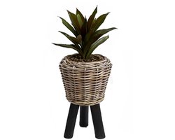 Van der Leeden Planten/bloemen mand - op pootjes - rotan gevlochten - D27 x H42 cm - drypot - plantenpot - bloempot - binnen/buiten