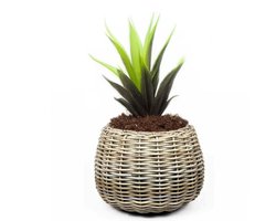 Van Der Leeden Planten/bloemen mand - rond - rotan - gevlochten riet - D57 x H44 cm - drypot