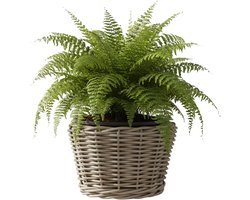 Van der Leeden Planten/bloemen mand - rotan - gevlochten riet - D25 x H19 cm - drypot - plantenpot - plantenmand - nestbaar
