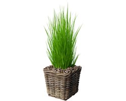 Van der Leeden Planten/bloemen mand - vierkant - rotan - gevlochten riet - L27 x B27 x H25 cm - plantenpot - plantenmand
