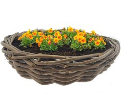 Van der Leeden Planten/bloemen schaal - rotan gevlochten - D41 x H12 cm - terrasschaal - mand - plantenmand - plantenschaal - bloemenschaal