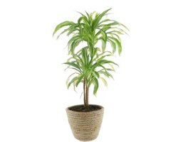 Van der Leeden Plantenmand - rotan - maisblad - D25 x H22 cm - ronde plantenpot - bloemen mand - handgevlochten