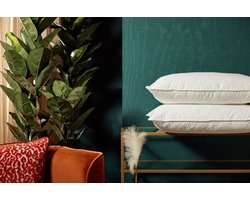 Van der Valk Hoofdkussen medium