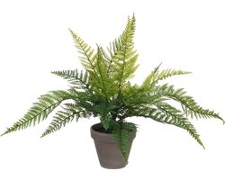 Varen kunstplant/kamerplant groen H40 cm x D36 cm - Kunstplanten/nepplanten