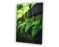 Varens en mos op muur - Natuur schilderijen canvas - Wandkunst varens - Realisme - Vintage schilderij - Wanddecoratie slaapkamer - canvas 100x150 cm