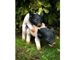 Varkentjes parend 30 cm hoog - kunststof - polyresin - polystone - hoogkwalitatieve kunststof - decoratiefiguur - interieur - accessoire - voor binnen - voor buiten - cadeau - geschenk - tuinfiguur - tuinbeeld - Kerst - Nieuwjaar