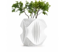 Vaso Siena Design Bloempot - Design Plantenpot - 21 x 21 x 23,4 cm - Wit - Luxe Organische Bloempot - Moderne Bloempot Binnen - Grote Plantenpot - Scandinavisch Design - Japandi Woondecoratie