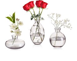Vazen set van 3 kleine bloemenvazen, modern, van kristalgrijs, mini-vazen, glazen flesjes, decoratieve glazen vaas, decoratie voor tafelmidden, boeken, bruiloft, doop, verjaardag, cadeau voor
