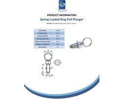 Veerbelaste ringtrekker M10 met roestvrijstalen pen van 6 mm