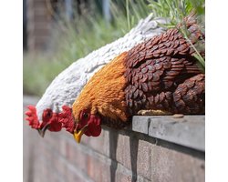 Vensterbank Kip Donkerbruin - Woondecoratie - Beeld van Kip voor op een Muur of Vensterbank - Polyresin - Waterbestendig - UV proof - Donker bruin - Huis en tuindecoratie - Buiten
