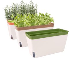 Vensterbank Kruidenplantenbak Set van 3 - Zelfbewaterende Plantenpotten - 25 cm - Raamplantenbak - Moderne Plastic Plantenbakken voor Kruiden - Groenten en Vetplanten planter box