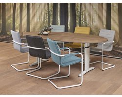 Vergadertafel Work ellips 220x110cm frame Wit (RAL9010) blad Licht Eiken