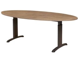 Vergadertafel Work ellips 220x110cm frame Zwart (RAL9005) blad Wit