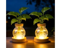 Verlichte Glazen Vazen voor Hydroponische Planten, Dimbare Plant Propagatiestation met Houten Basis, Decoratieve Bloemenvazen voor Tafel en Interieur