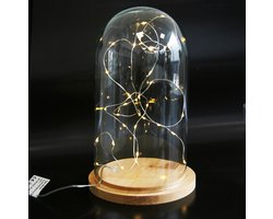 Verlichte stolp H25 cm - met draadverlichting zilver - warm wit - 40 lampjes