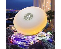 Verlichtingssnoer voor binnen en buiten met 8 verlichtingsmodi - Draagbaar en oplaadbaar voor camping en feesten - 32,8 ft