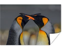 Verliefde pinguïns kussen met snavels 180x120 cm XXL / Groot formaat! - Foto print op Poster (wanddecoratie woonkamer / slaapkamer)