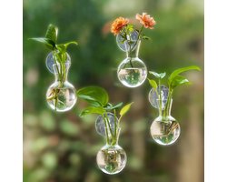 Vermeerderingsstation voor Raam: 4 Bolknopvazen met Zuignappen - Thuis Woonkamer Keuken Kantoor Decoratie - Hangende Glas Plantenbak Terrarium - Hydroponische Planten.