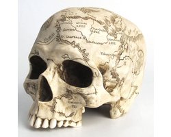 Veronese Design - beeld/figuur - Craniumografie Schedel Kaart - 18,5cm x 12,2cm x 13,5cm