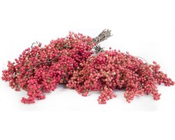 Verse Pepperberries - Droogbloemen - 1 bos - Decoratie Takken