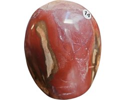 Versteend Hout free vorm nr.14 1.089gr