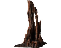 Versteend Hout - Uniek natuurproduct - Perfect voor decoratie