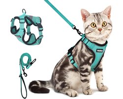 Verstelbaar ontsnappingsbestendig kattentuigje met riem - Ademend en comfortabel harnas voor katten - Eenvoudig aan te doen, voor veilige wandelingen (Turquoise, Small)
