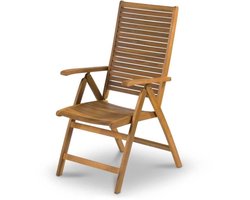 Verstelbare stoel - Fieldmann - FDZN 4101-T