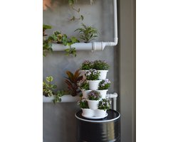 VERTICALE MOESTUIN - Vertical Garden - Perfect voor het voorjaar - Plantentoren - Aardbeienpot - Plantenbakken voor Binnen en Buiten - Bloempotten - 5 Lagen, Stapelbaar, Plek voor 15 Planten - Moestuin
