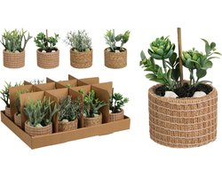 Vetplant Bonsai in Naturel Pot – Kunstplant in Bloempot – Decoratie Groen – 1 Stuk Willekeurig Geleverd