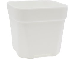 Vetplanten / Succulenten Potten - Vierkante potten - 8,0 x 8,0 x H 7,4cm - Kunststof - Wit - Voor Kweken en Decoratie - Set van 12 stuks