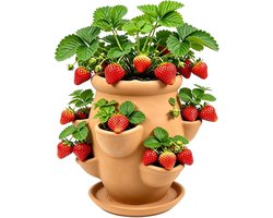 VHV - Aardbeienpot - Verticale plantenbak met 6 vakken - Terracotta plantenpot met drainageschotel - Voor kruiden, vetplanten en aardbeien - Binnen en buiten - 1 stuk - Aardekleur