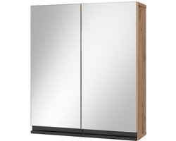 Vicco Torren Badkamerspiegelkast – 60 x 70 cm Ambachtelijk