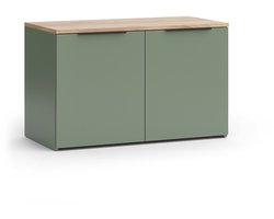 Vicco Wido Sideboard – 80 x 50 cm met 2 deuren Groen