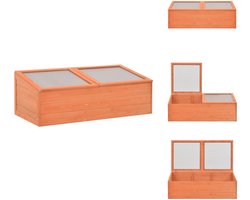 vidaXL Broeikas - Broeikassen - Kas - Kassen - Tuinkas 100x50x34 cm hout