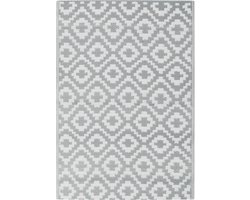 vidaXL - Buitenkleed - ARAKIL - 160x230 - cm - PP - grijs
