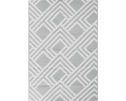 vidaXL - Buitenkleed - ARAKIL - 160x230 - cm - PP - grijs