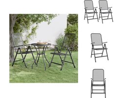 vidaXL Inklapbare Tuinstoel - Inklapbare Tuinstoelen - Tuinstoel - Klapstoel - Tuinstoelen inklapbaar 2 st metaalgaas antracietkleurig