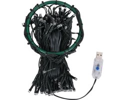 vidaXL Kerstboomverlichting met 210 LED's net 210 cm