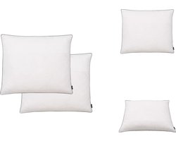 vidaXL Kussen - Kussens - Kussentje - Kussentjes - Kussens 2 st zwaar 70x60 cm dons-/verenvulling wit